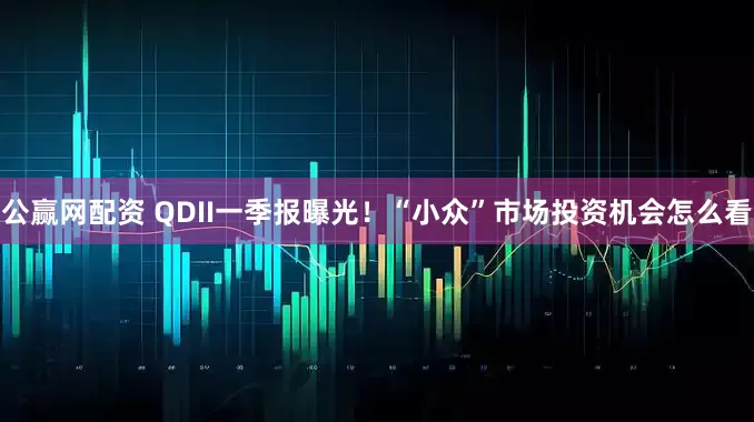 公赢网配资 QDII一季报曝光！“小众”市场投资机会怎么看