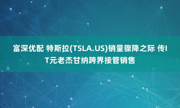 富深优配 特斯拉(TSLA.US)销量骤降之际 传IT元老杰甘纳跨界接管销售
